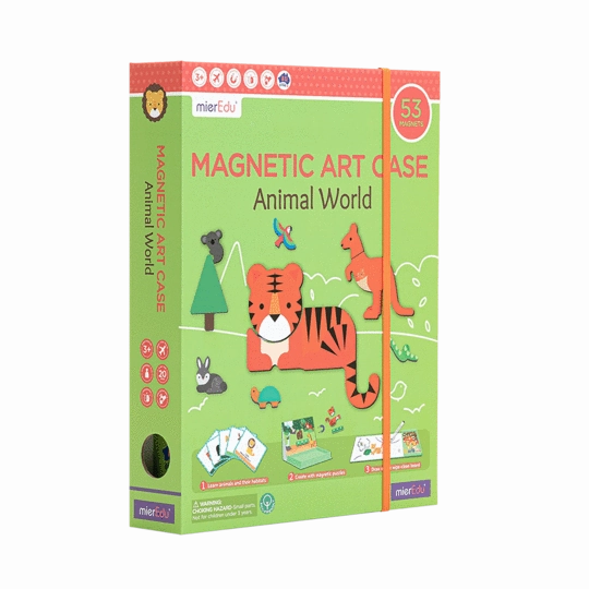 Magnetic Art Case