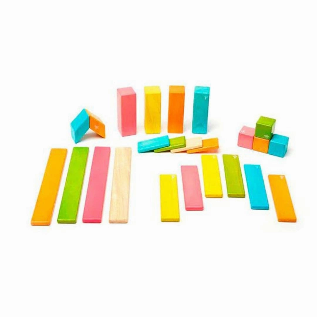 Magnetic Wooden Blocks - 24 Piece Set Tints