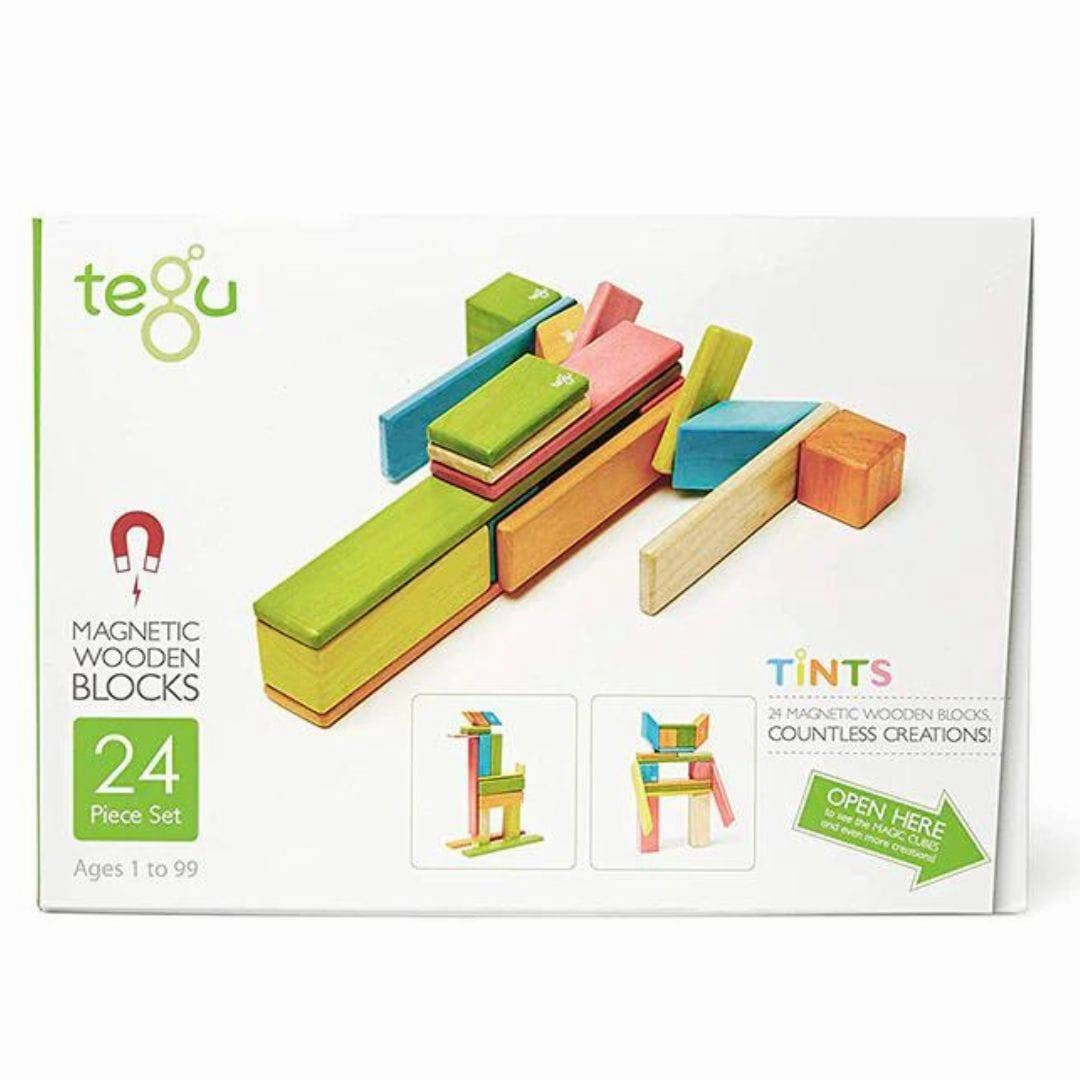 Magnetic Wooden Blocks - 24 Piece Set Tints