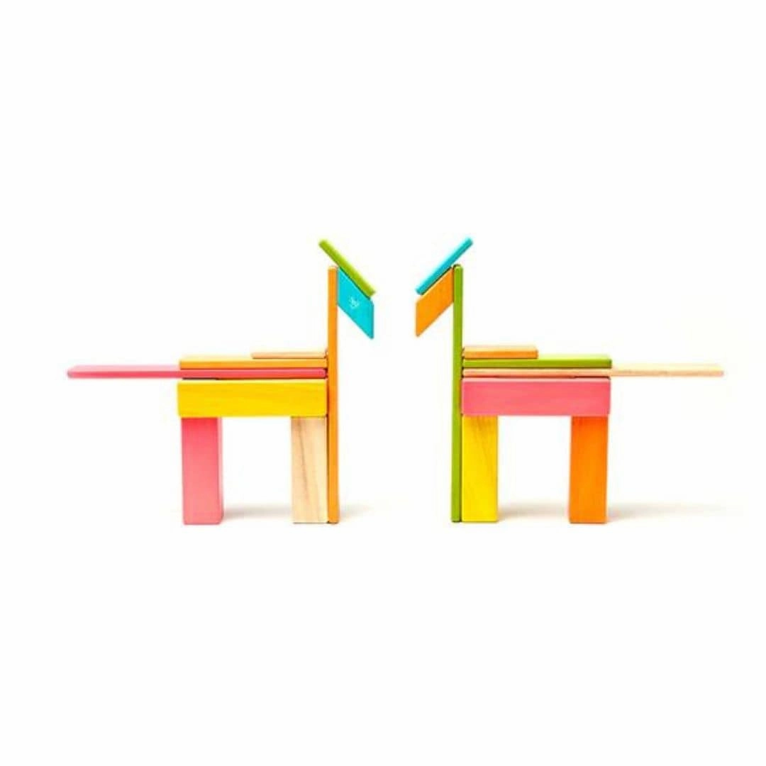 Magnetic Wooden Blocks - 24 Piece Set Tints
