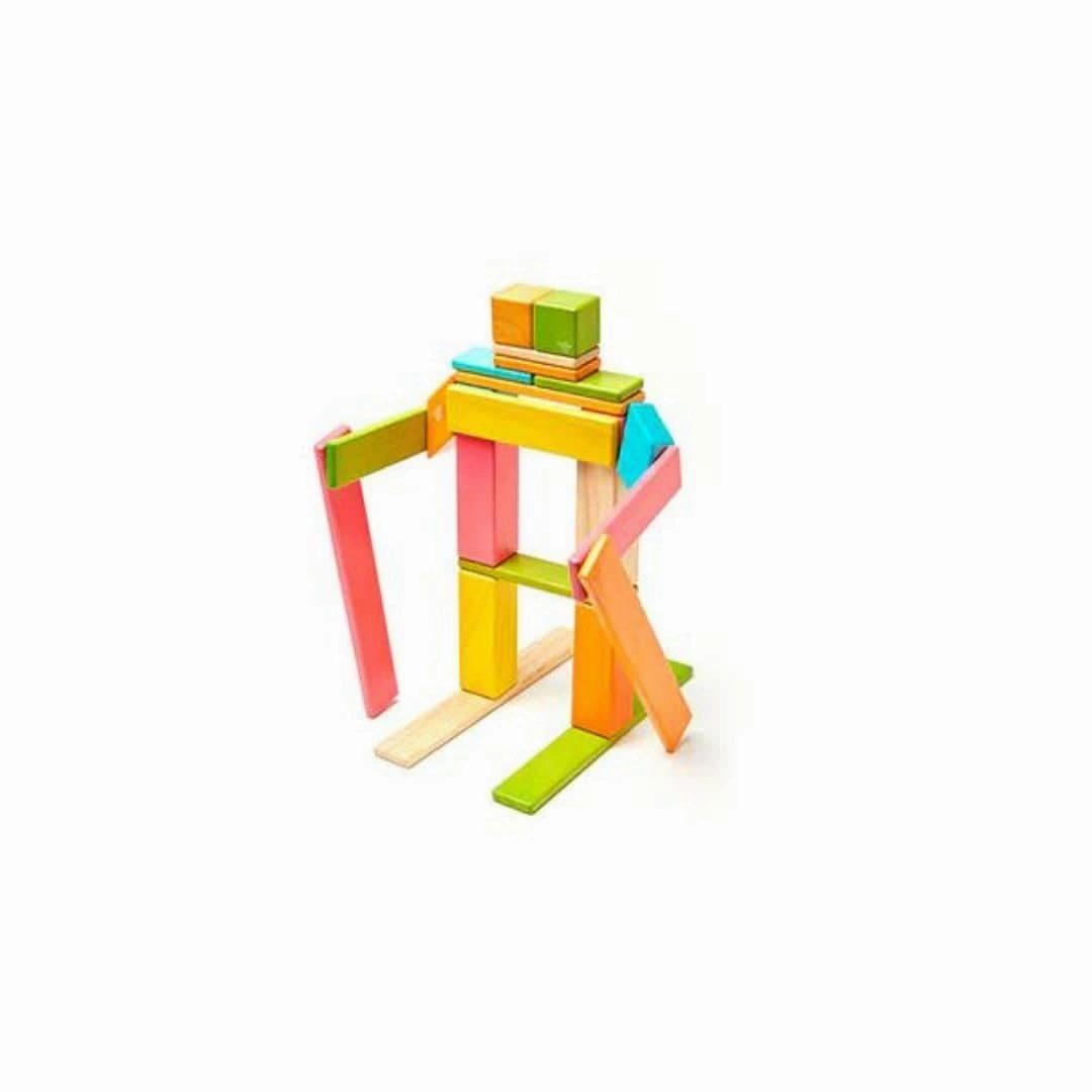Magnetic Wooden Blocks - 24 Piece Set Tints