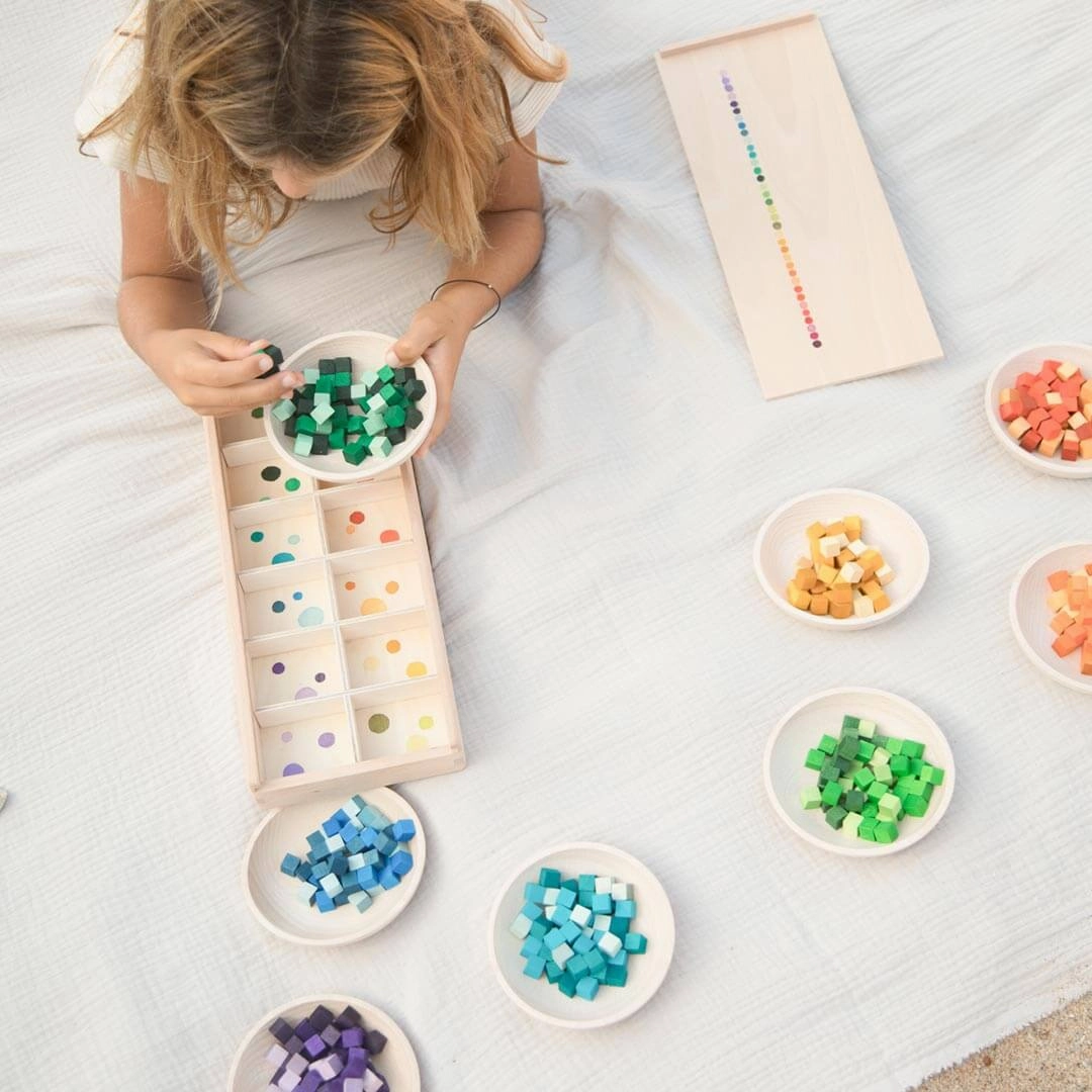 Mis & Match Wooden Sorting Set