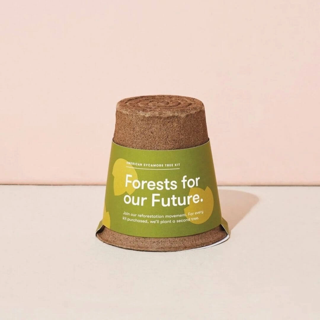 Modern Sprout One-For One Tree Kit
