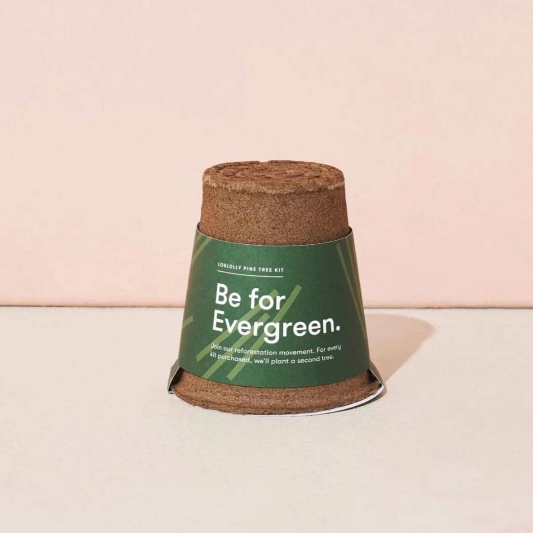 Modern Sprout One-For One Tree Kit