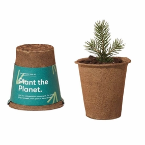 Modern Sprout One-For One Tree Kit