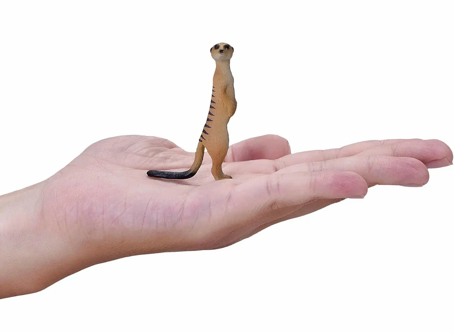 Mojo 387125 Wildlife Meerkat Animal Figure