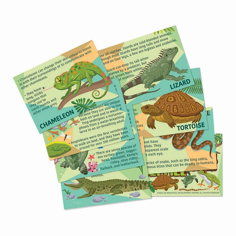 Mould & Paint - Reptiles and Amphibians