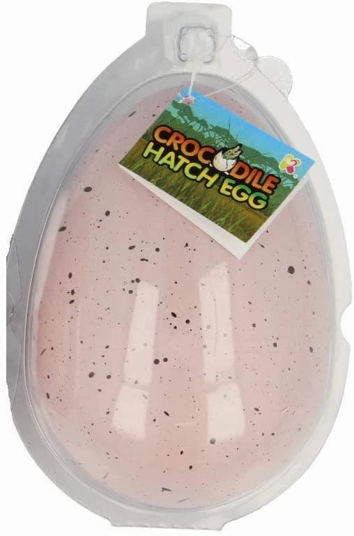 NURCHUMS Hatching Egg, Hatch and Grow Pet Crocodile - Large 11cm