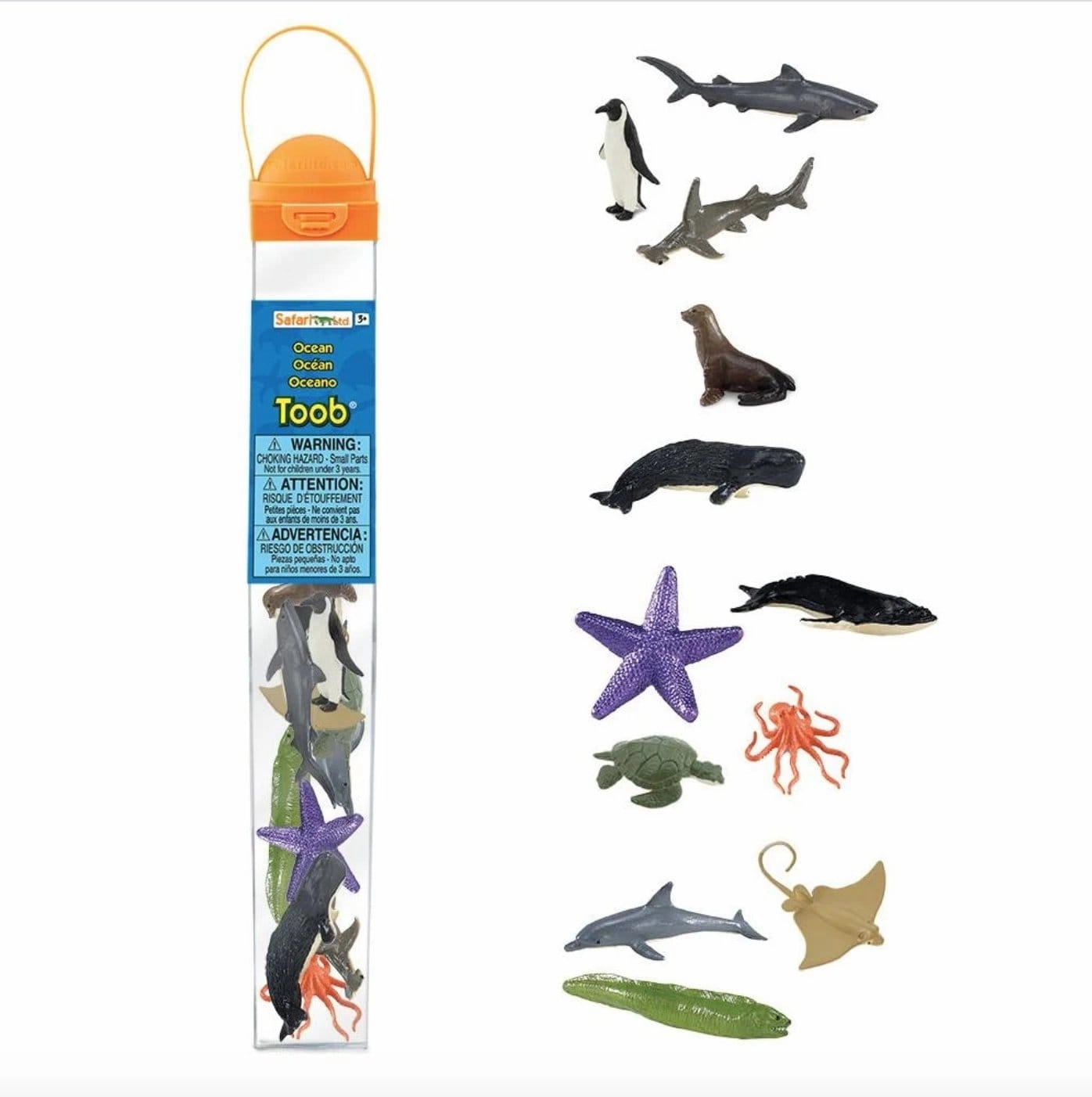 Ocean Toob