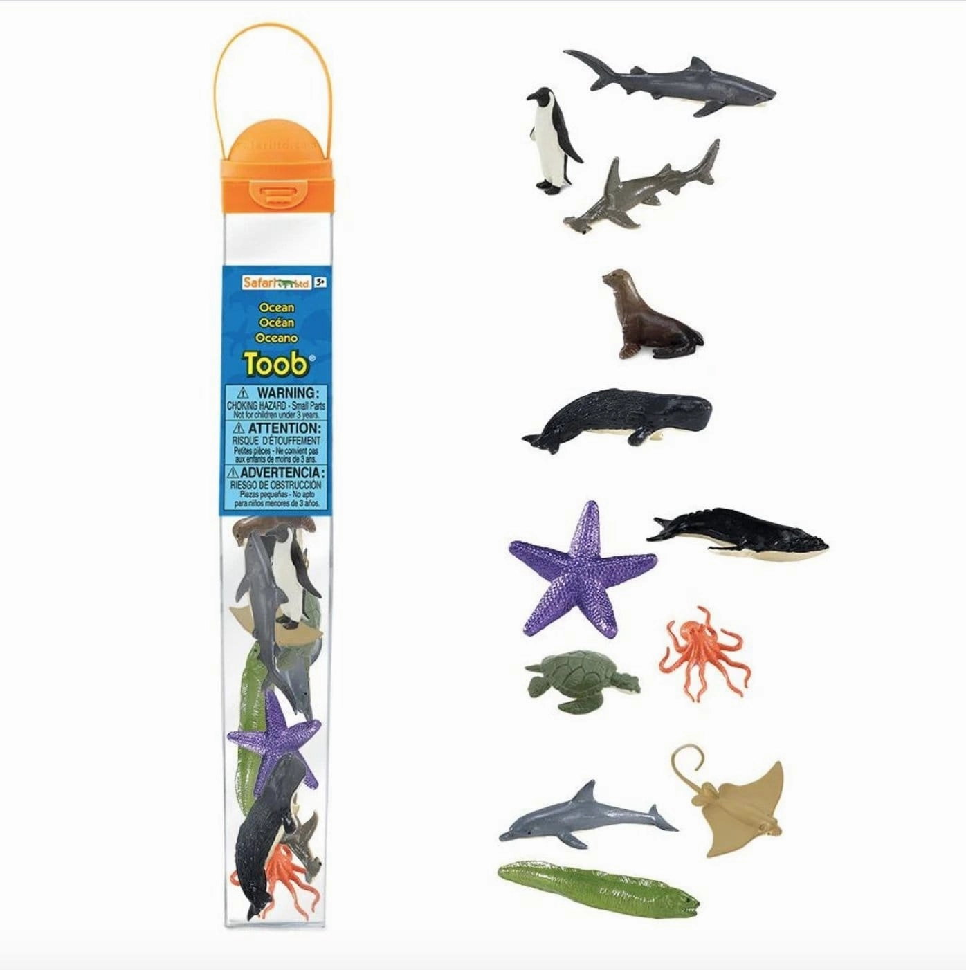 Ocean Toob
