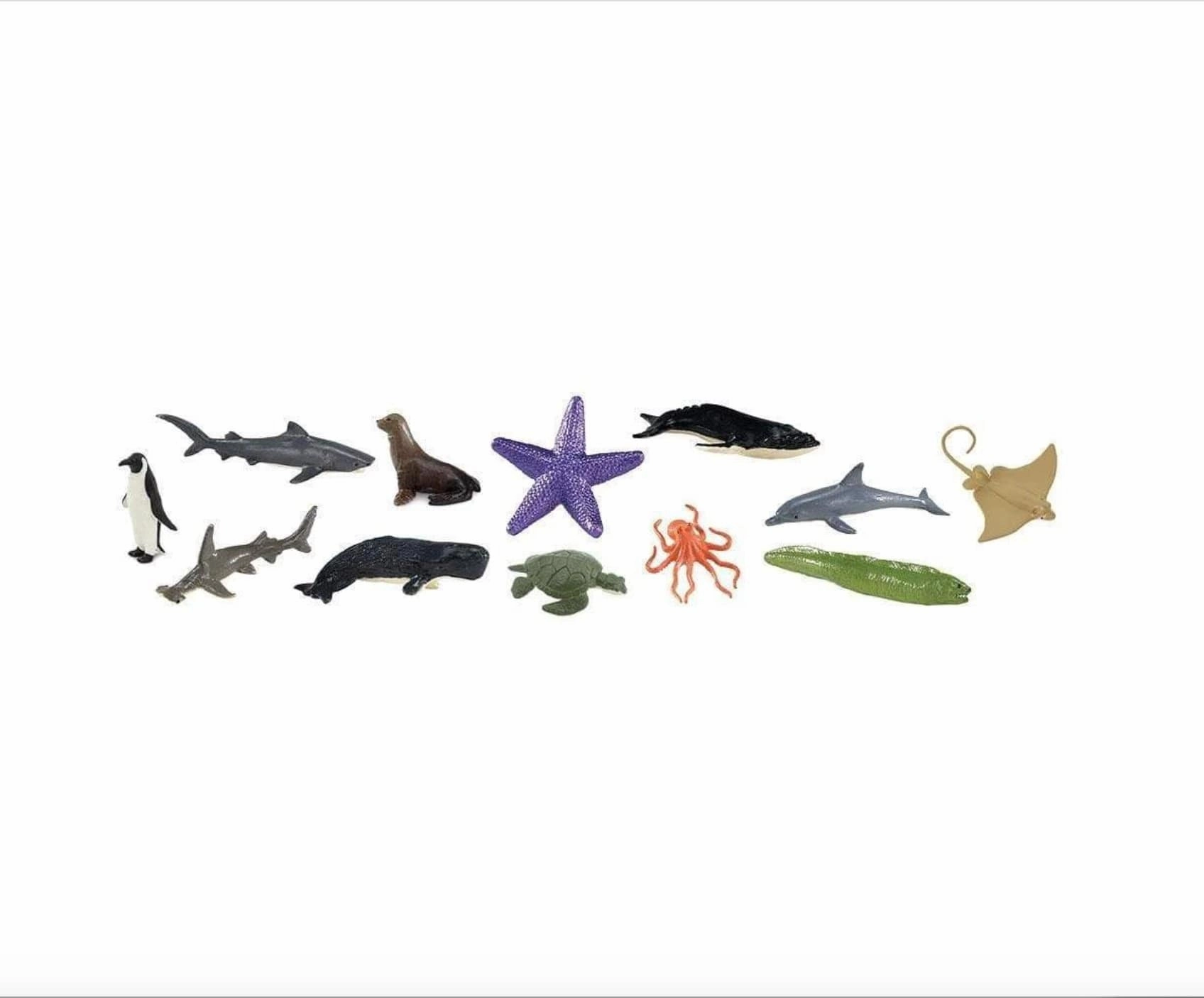 Ocean Toob