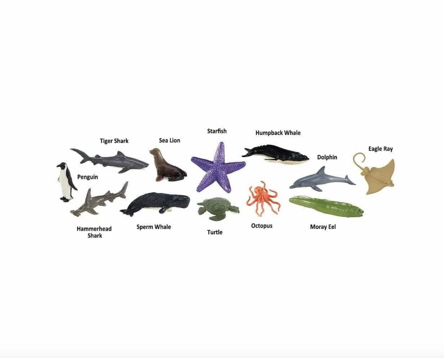Ocean Toob