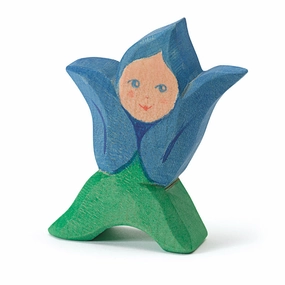 Ostheimer Child Gentian 2017