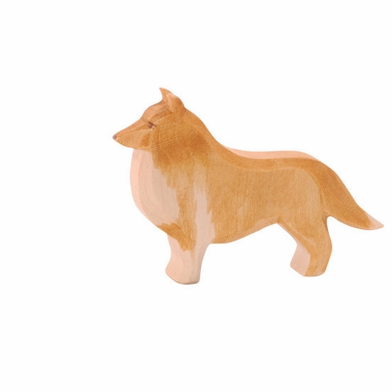 Ostheimer Collie