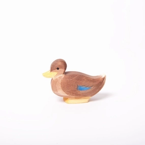 Ostheimer Duck Sitting