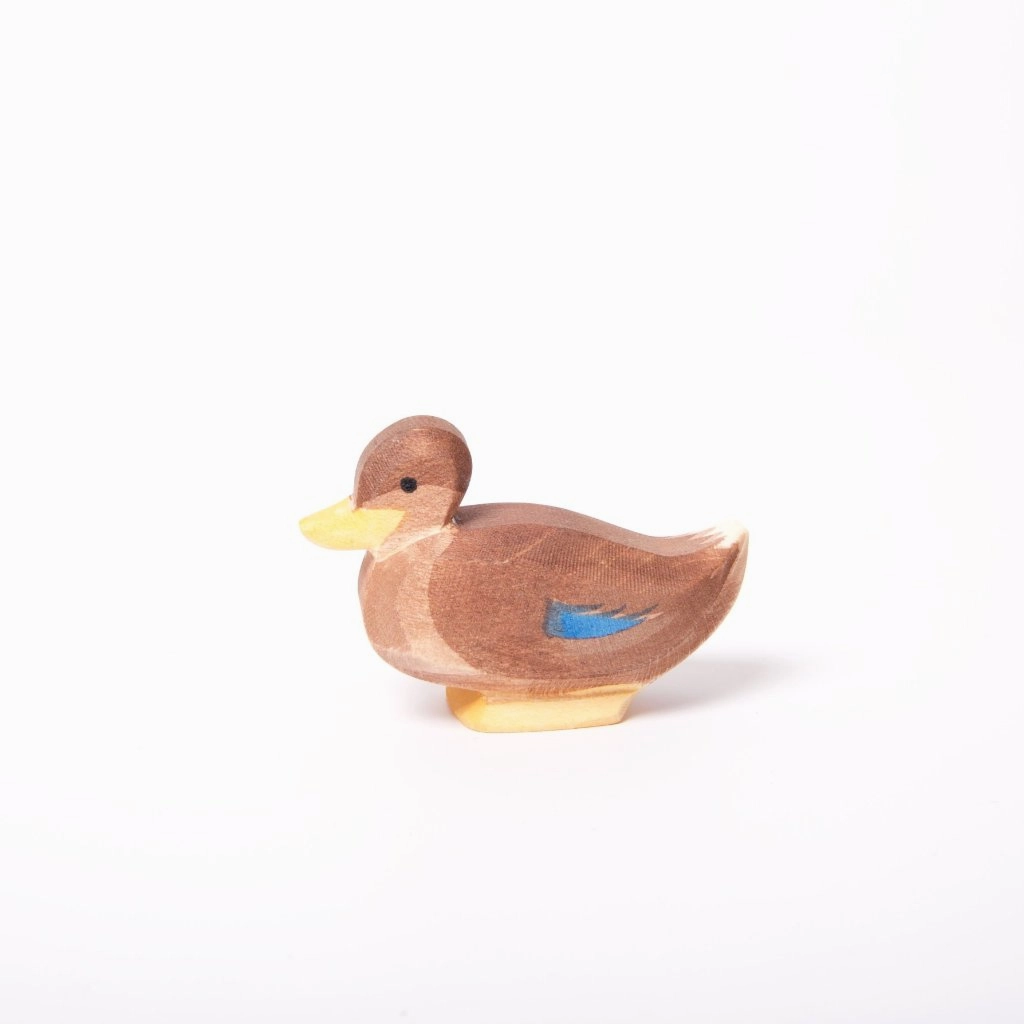 Ostheimer Duck Sitting