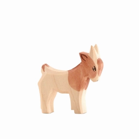 Ostheimer Goat Kid, Standing
