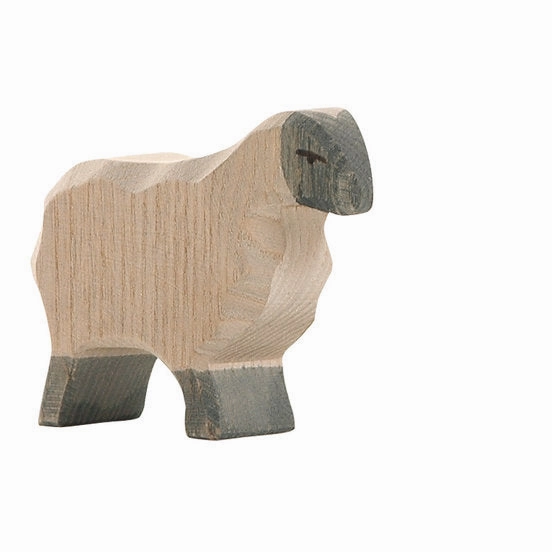 Ostheimer Moreland Sheep