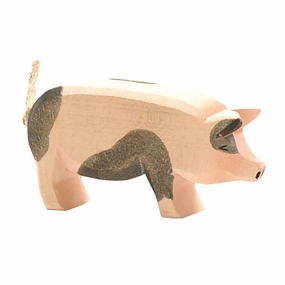 Ostheimer Pig Spotted Head High