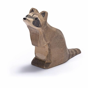 Ostheimer Raccoon Sitting