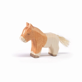 Ostheimer Shetland Colt Standing