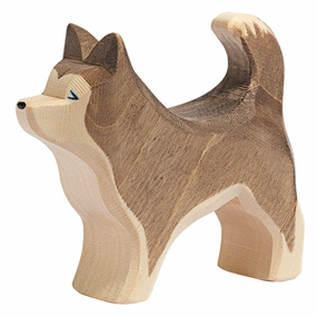 Ostheimer  Sled Dog Standing