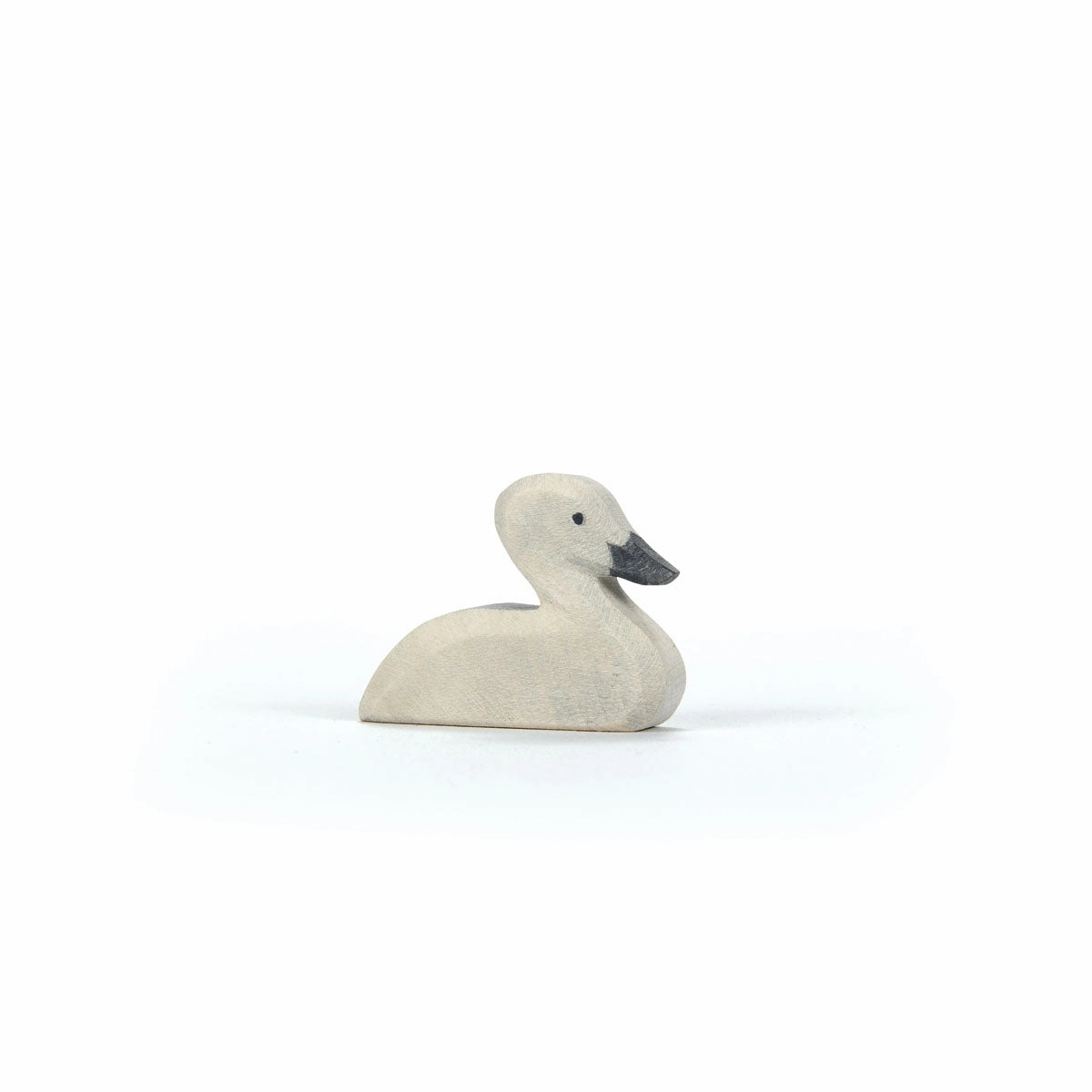 Ostheimer Swan Little 2025