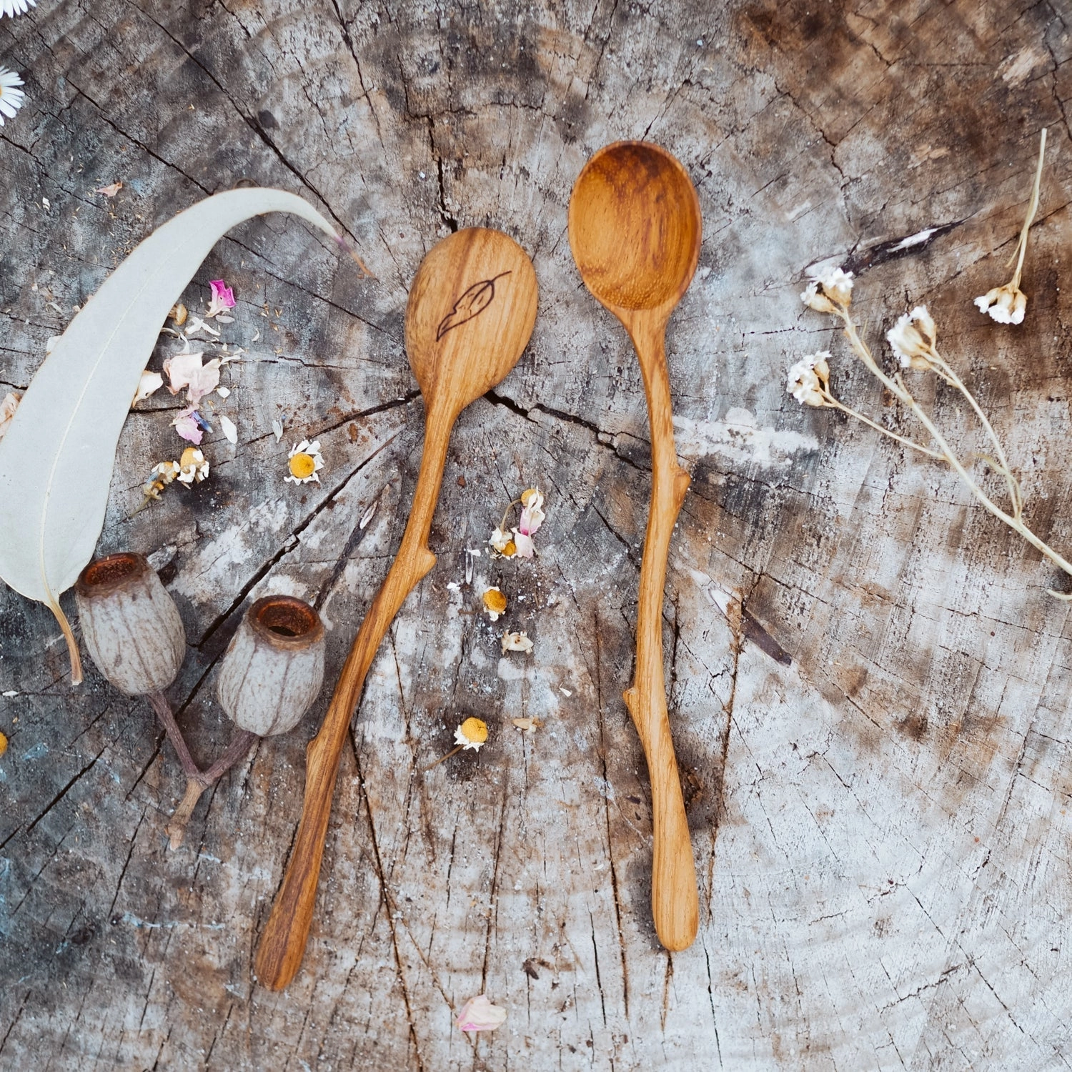 Pre-Order Wild Mountain Child Twig Spoon (Ships at the end of June)