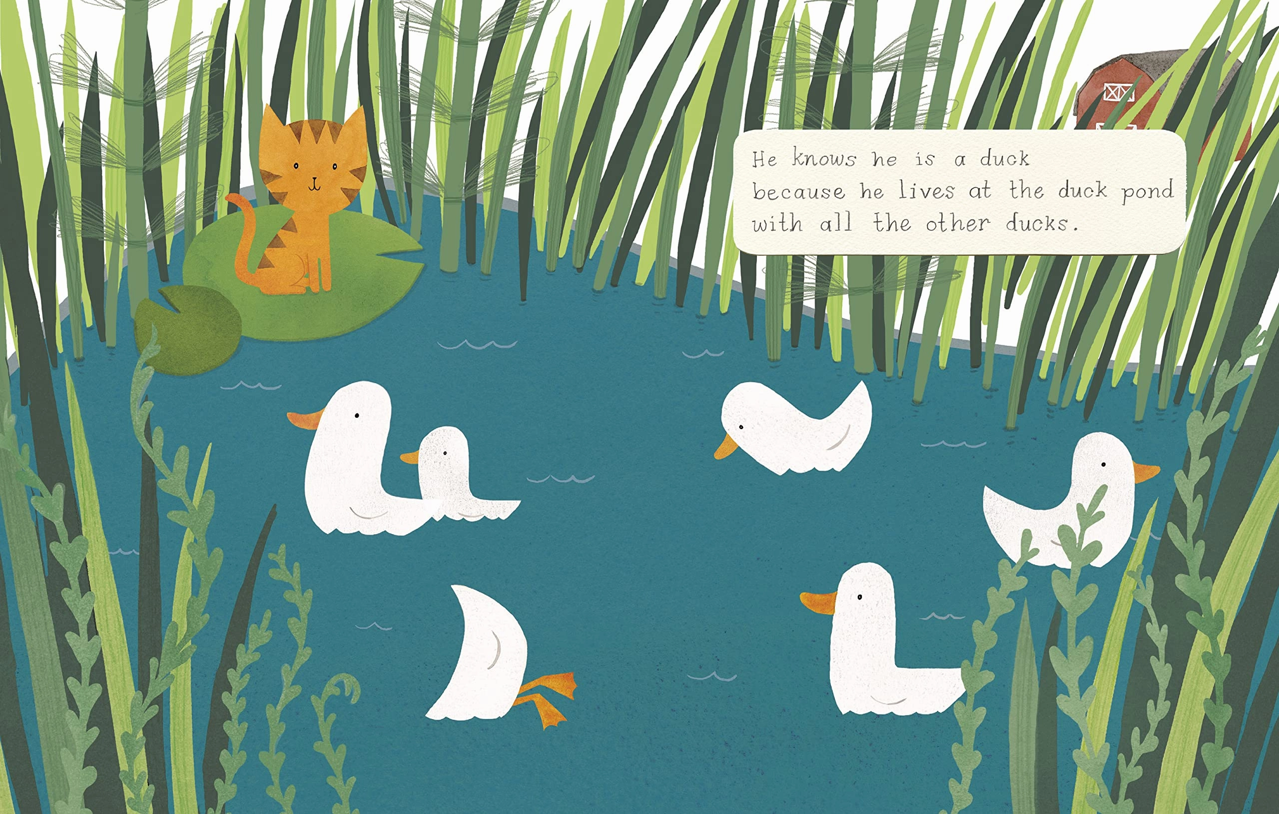 Quackers