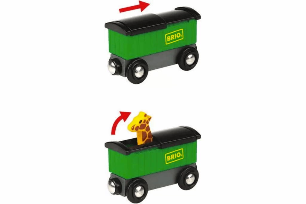 Safari Train