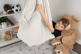 Sensory Swings