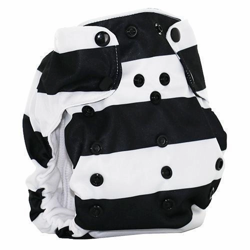 Smart Bottoms Dream Diaper 2.0