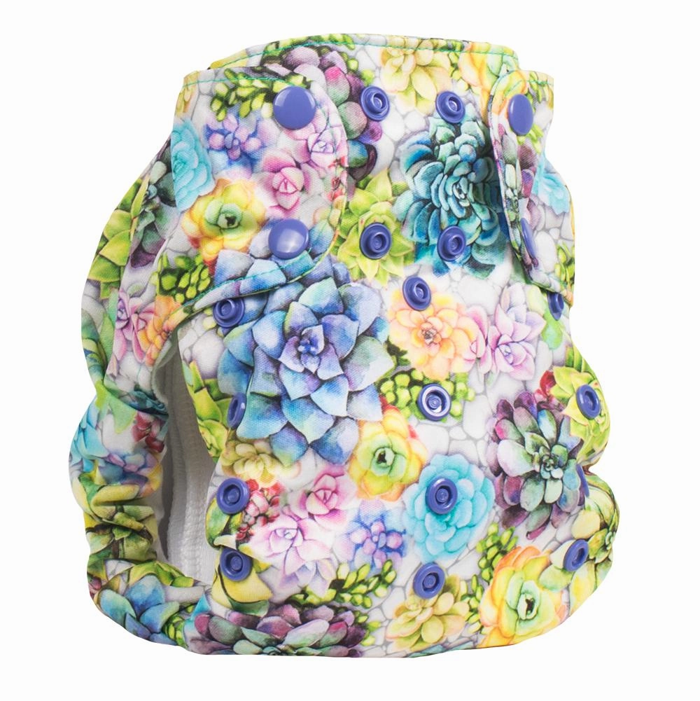 Smart Bottoms Dream Diaper 2.0