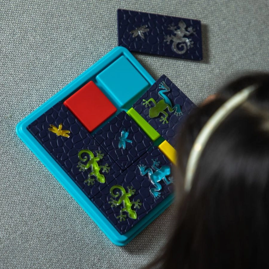 Smart Games - Colour Catch Game