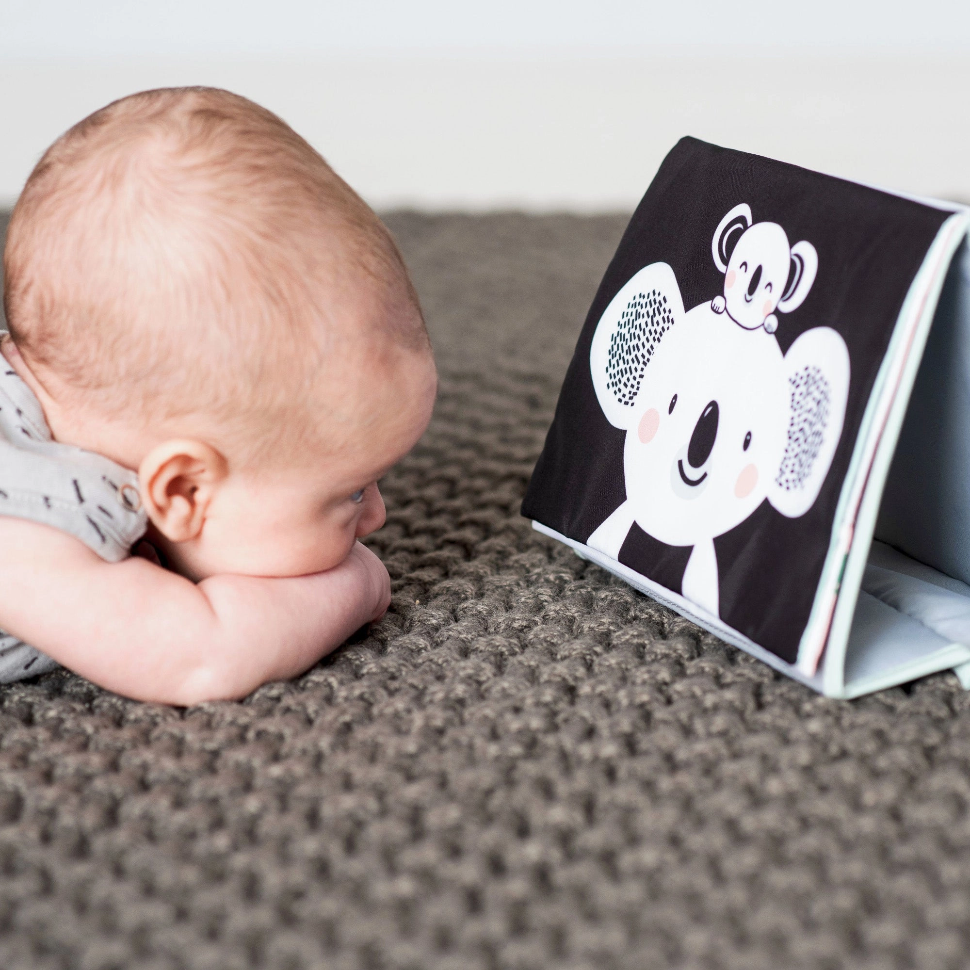 Taf Toys Kimmy Koala Tummy Time Book