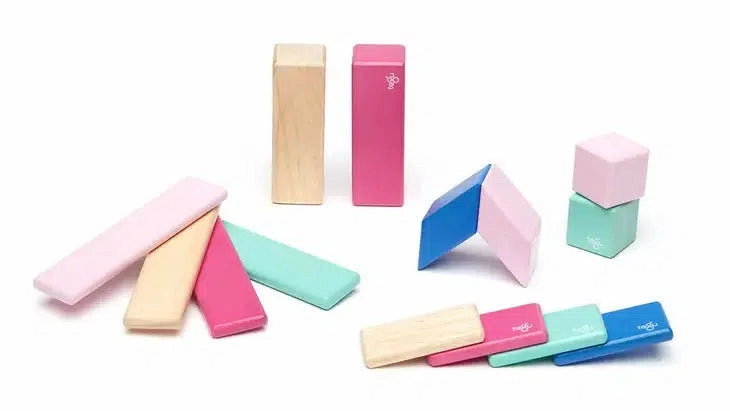 Tegu 14-Piece Magnetic Wooden Block Set