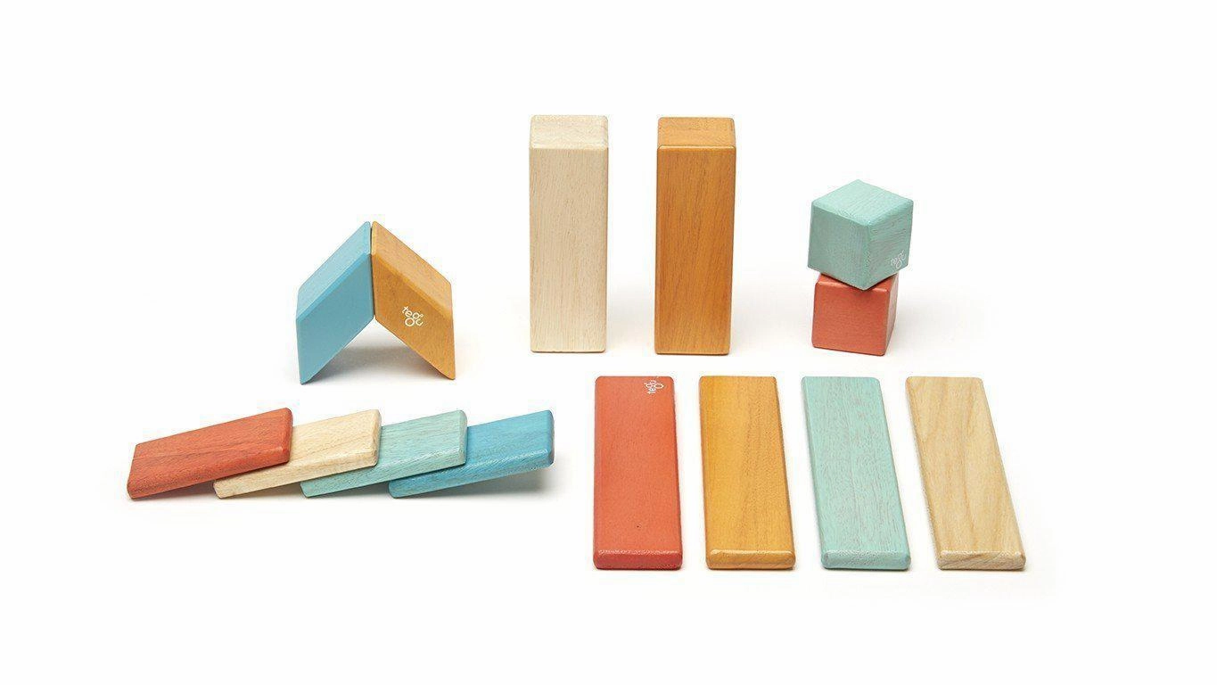 Tegu 14-Piece Magnetic Wooden Block Set