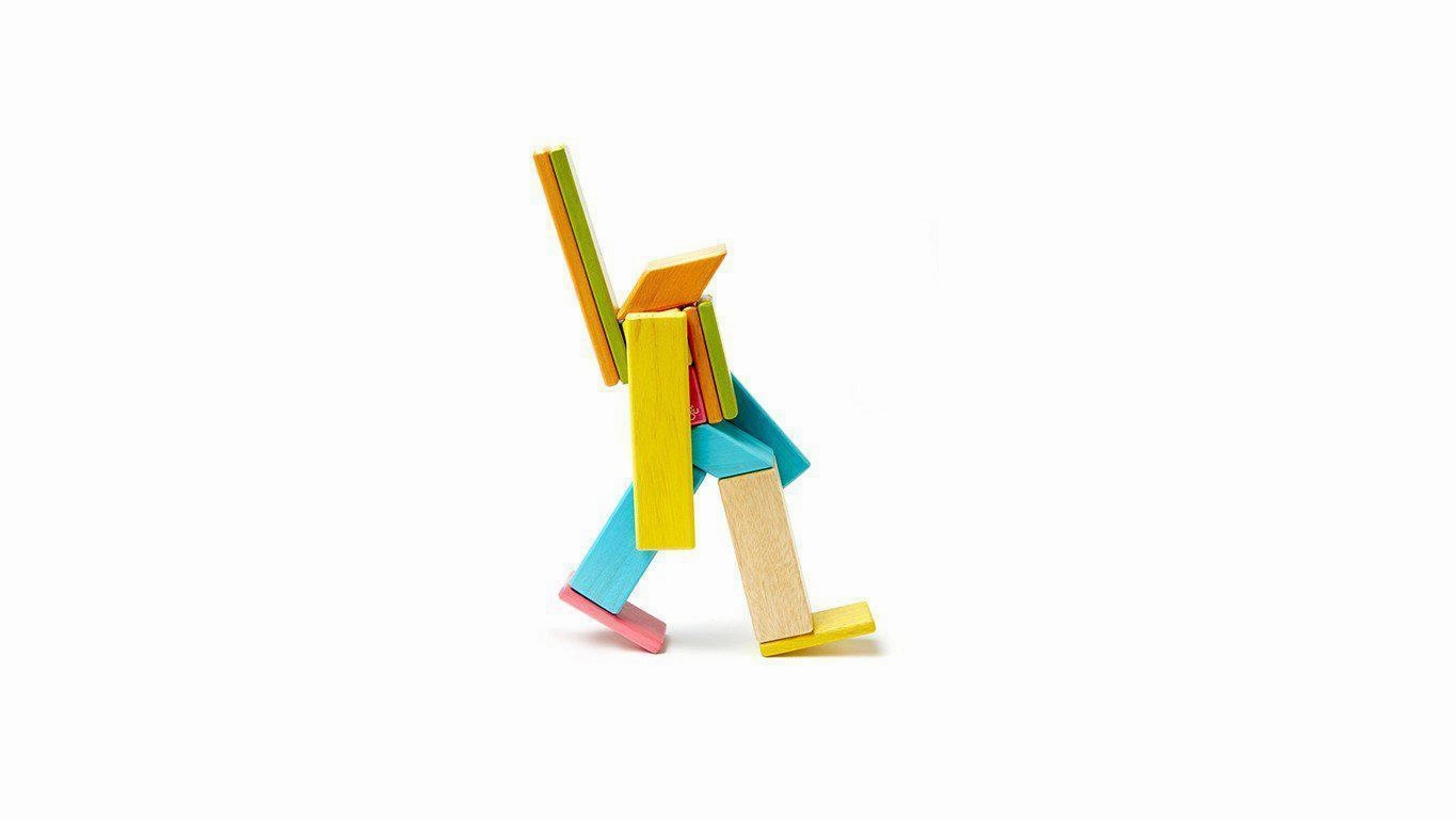 Tegu 14-Piece Magnetic Wooden Block Set