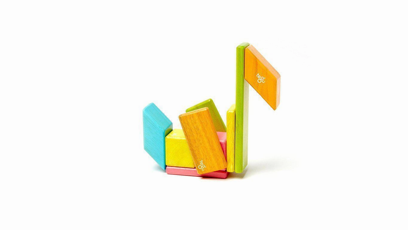 Tegu 14-Piece Magnetic Wooden Block Set