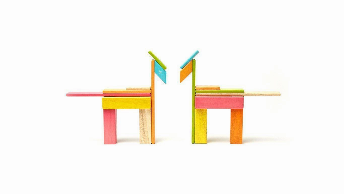 Tegu 24-Piece Magnetic Wooden Block Set