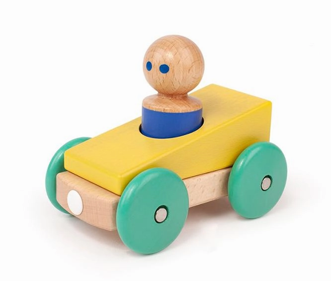 Tegu Magnetic Racer