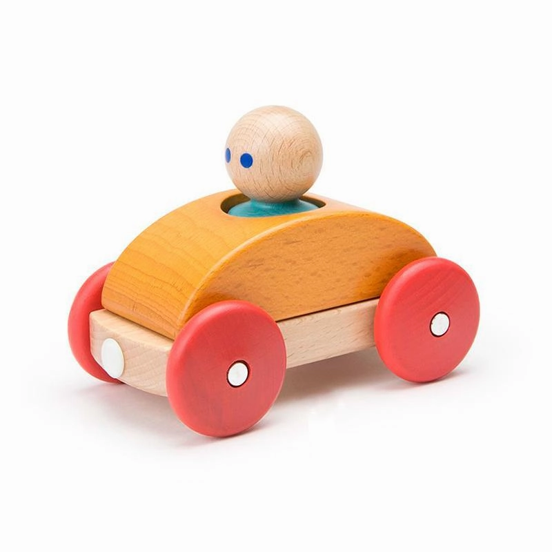 Tegu Magnetic Racer