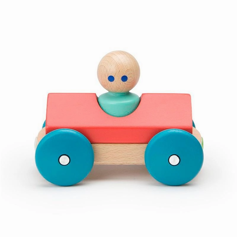 Tegu Magnetic Racer
