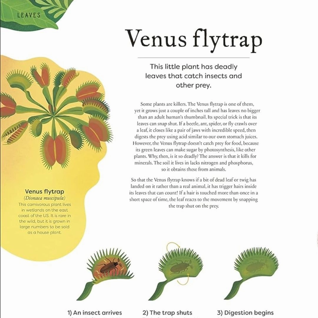 The Secret World of Plants