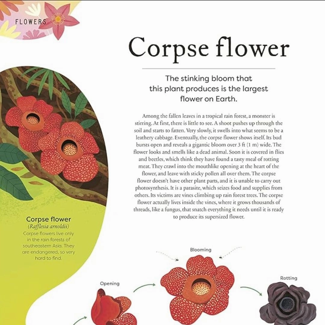 The Secret World of Plants