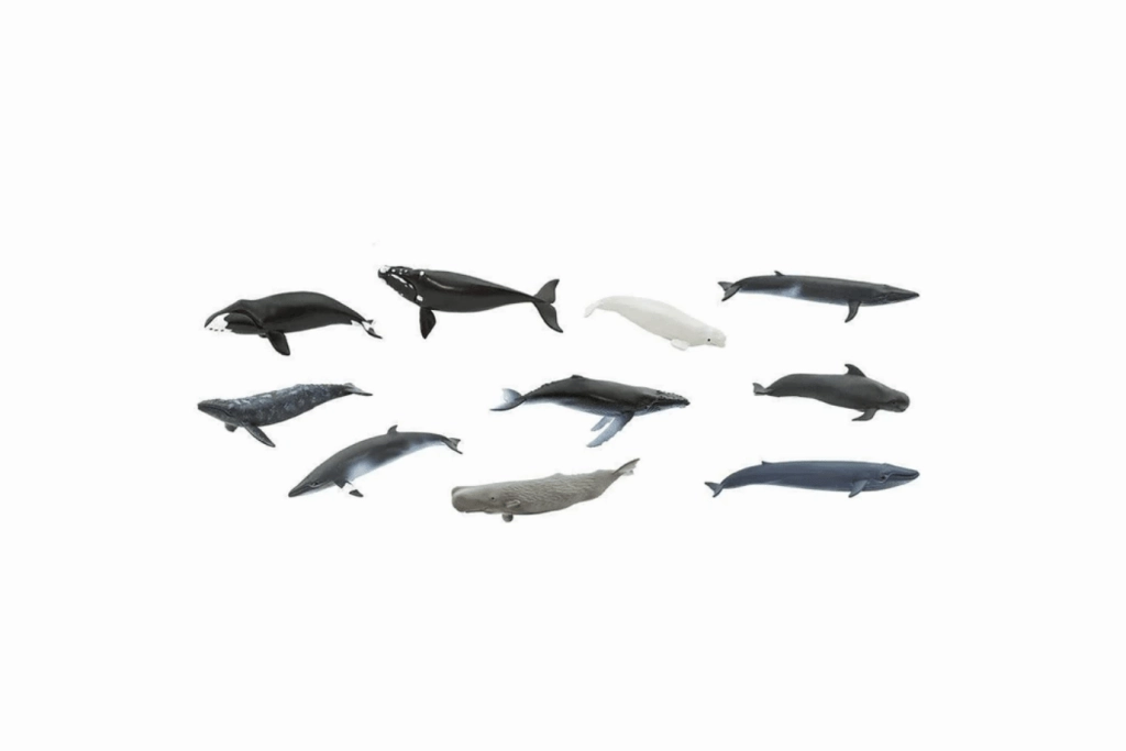 Whales Toob