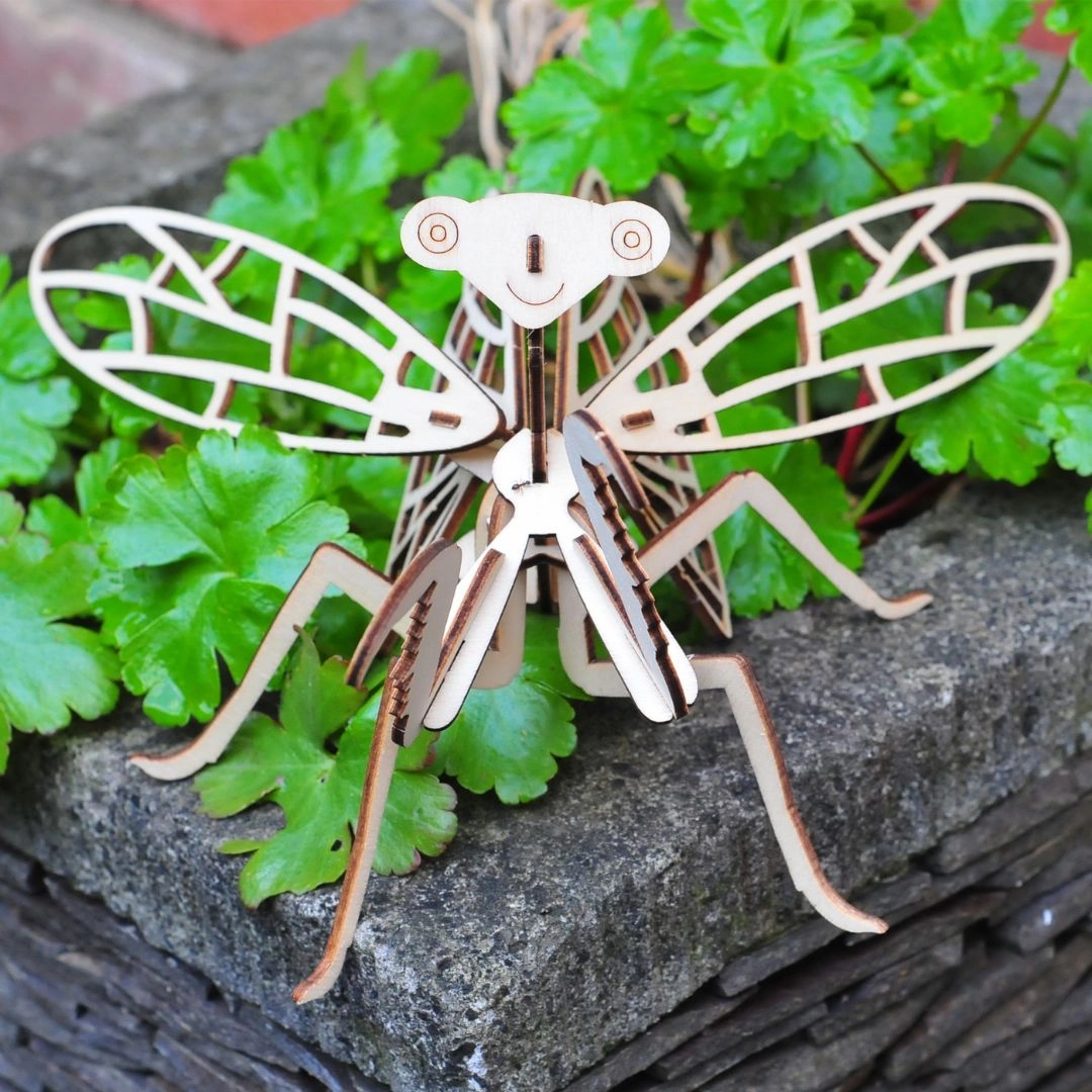 Wooden Build A Bug Kit